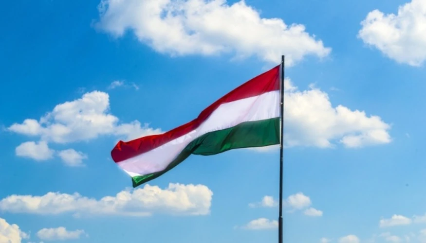 Хронологія висунення Баки кандидатом у президенти Угорщини від «Тиси»